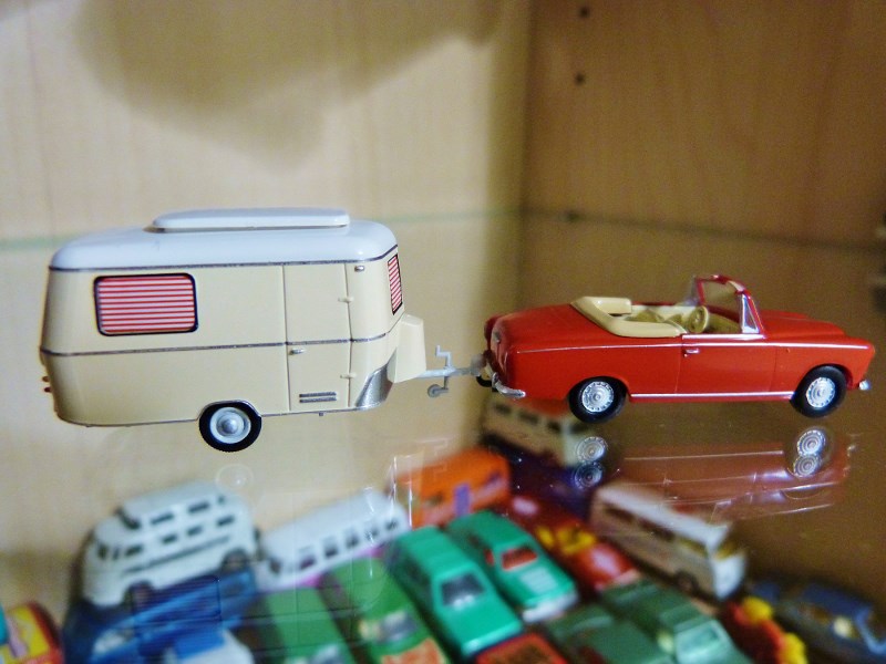 P1070221 (800x600).jpg