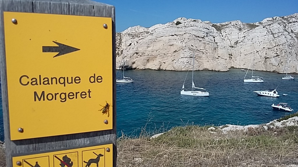 2018-09-27 14.33.38.jpg