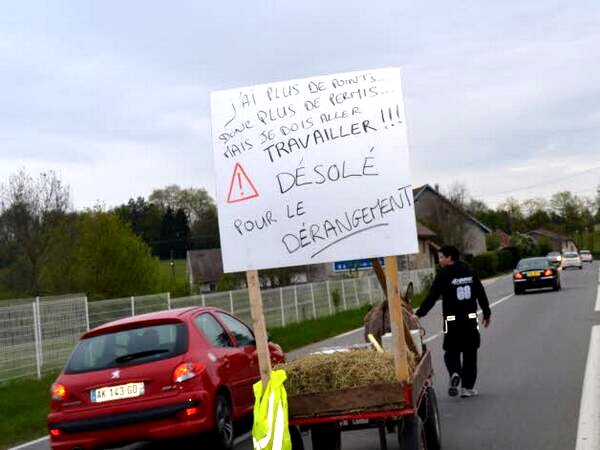 Ane et charette.jpg