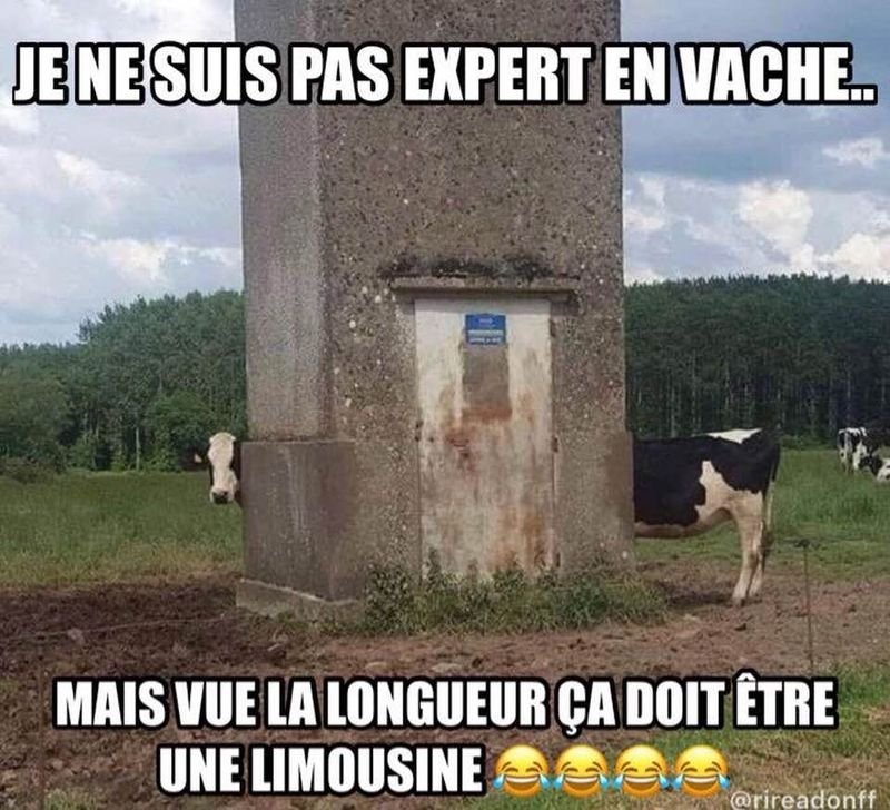 Limousine.jpg
