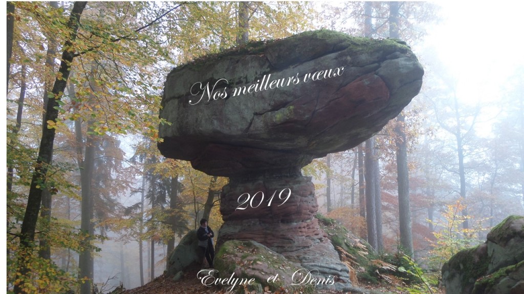 Voeux 2019.jpg