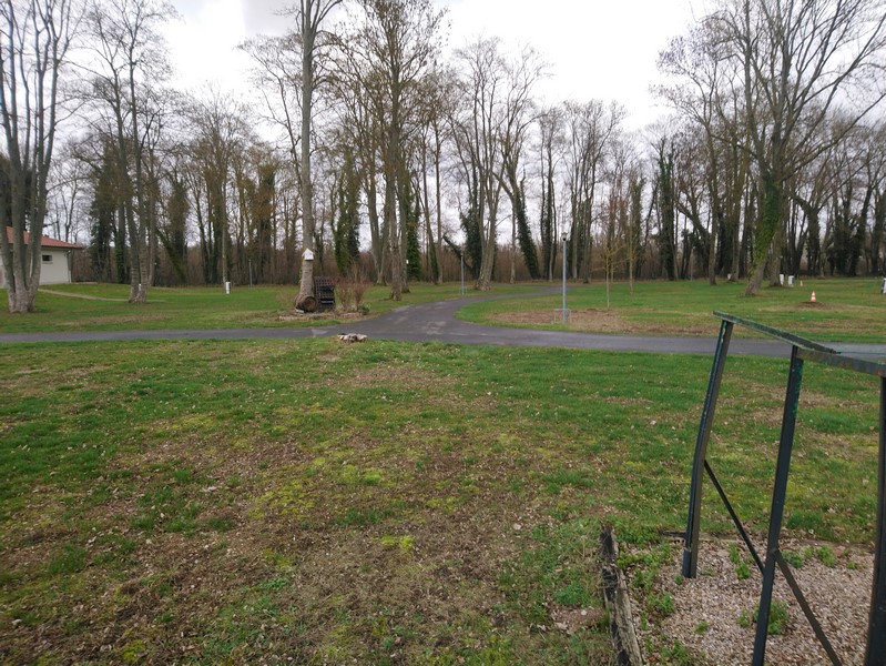 DSC_0358 (Copier).JPG