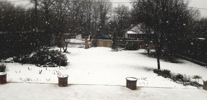 20190123_142141.jpg