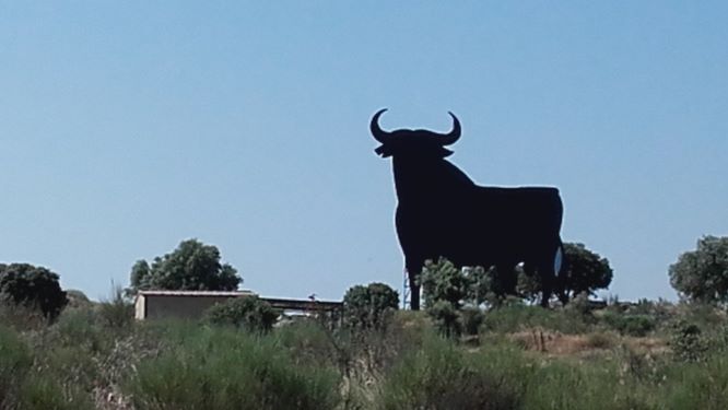20180713_112206.jpg