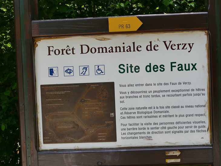 P1170288&.jpg
