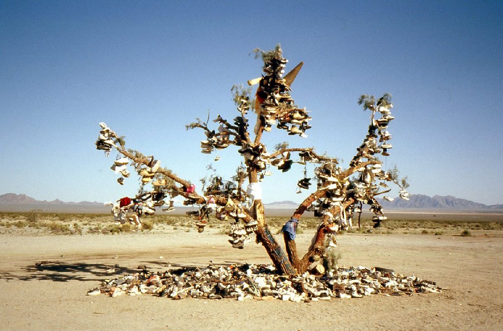 2003 017.jpg