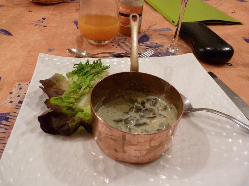 P1130071 (Copier).JPG