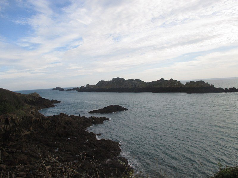IMG_8264.JPG