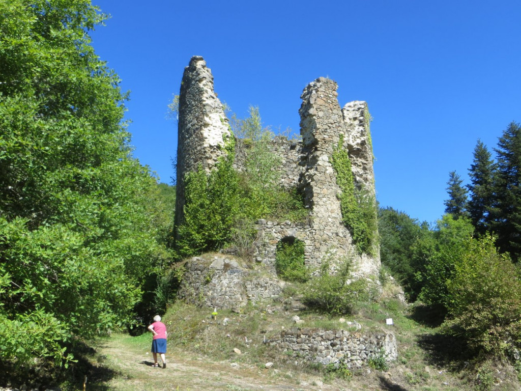 Ruine de la chartreuse Ste Marie