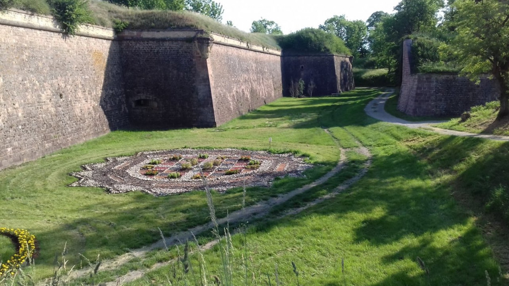 20190605_083604.jpg (280.38 Kio) Vu 10495 fois Camping "Le Vauban" Neuf-Brisach (68) Acsi