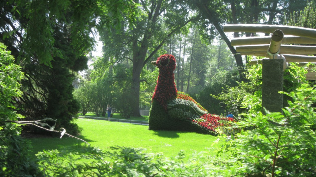 IMG_4856.JPG (298.34 Kio) Vu 10497 fois Ile de Mainau : Un parc floral magnifique