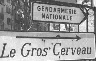 Gros cerveau.jpg