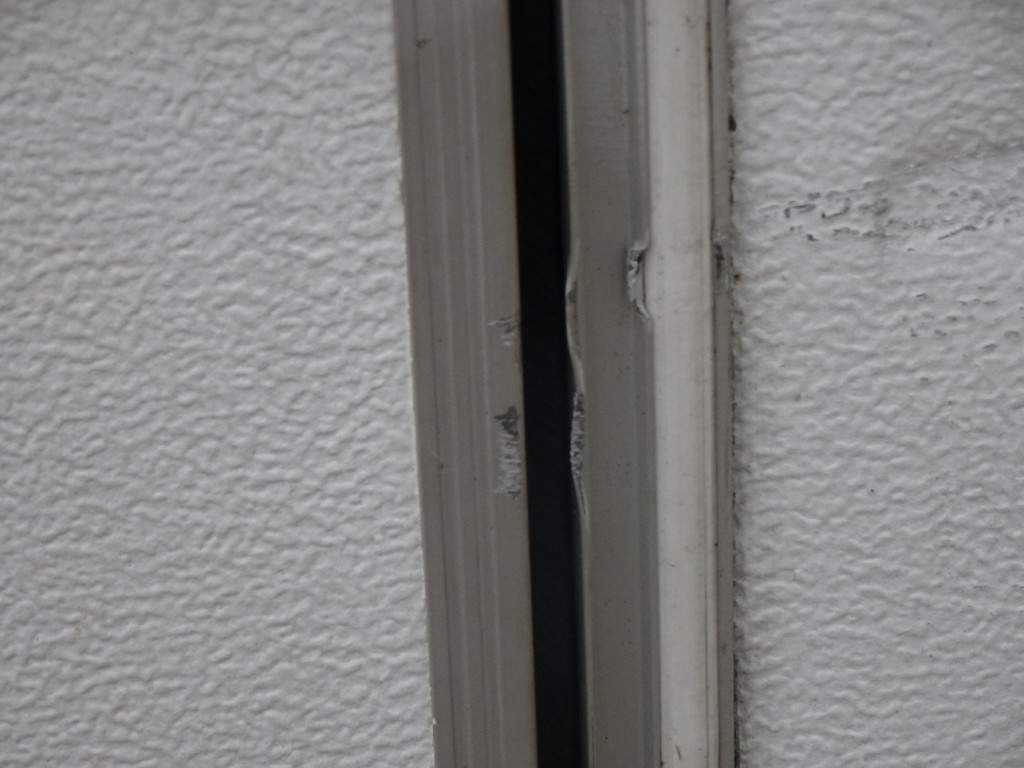 DSC01678.JPG