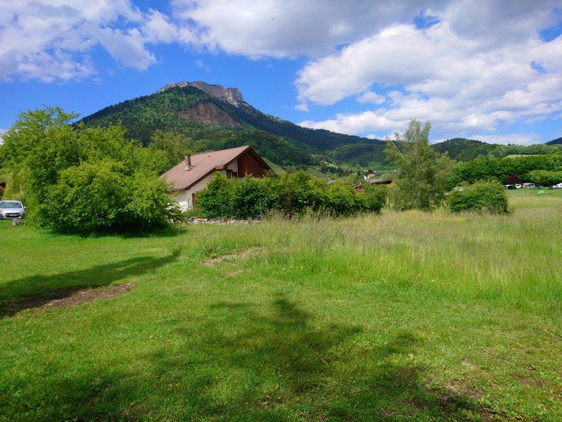 DSC_0019 (Copier).JPG