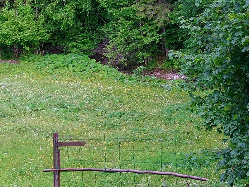 En bas, La Vence. Gamin je jouais dans l'eau !