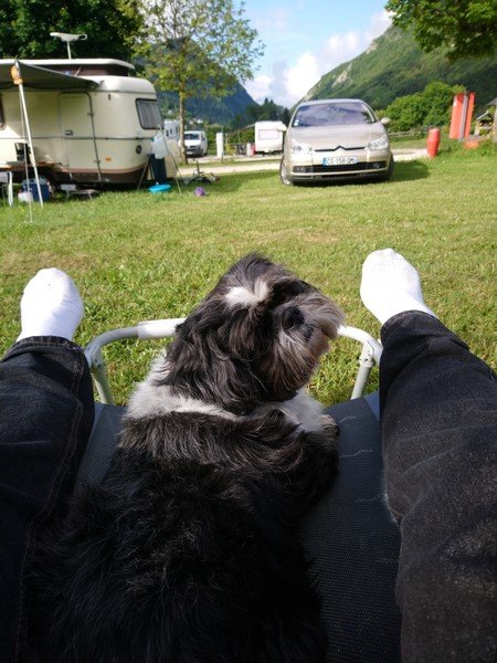 DSC_0065 (Copier).JPG