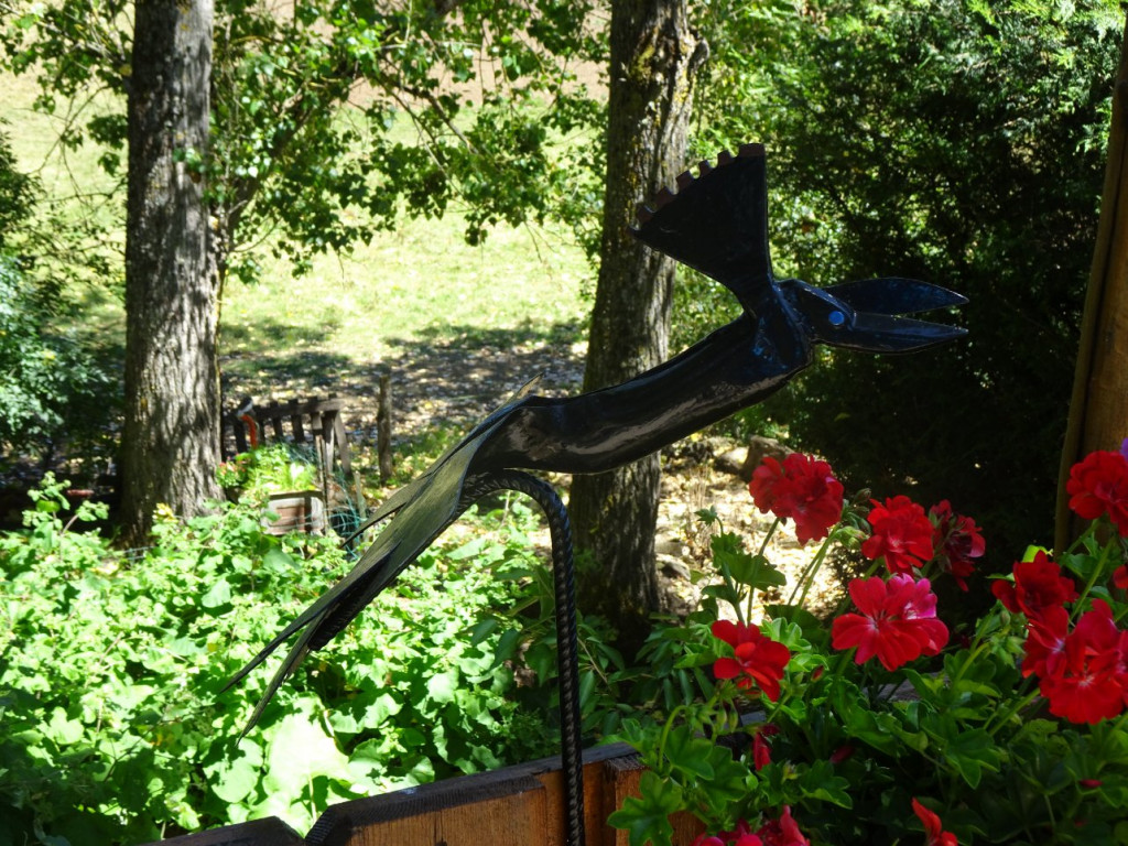 DSC01888.JPG