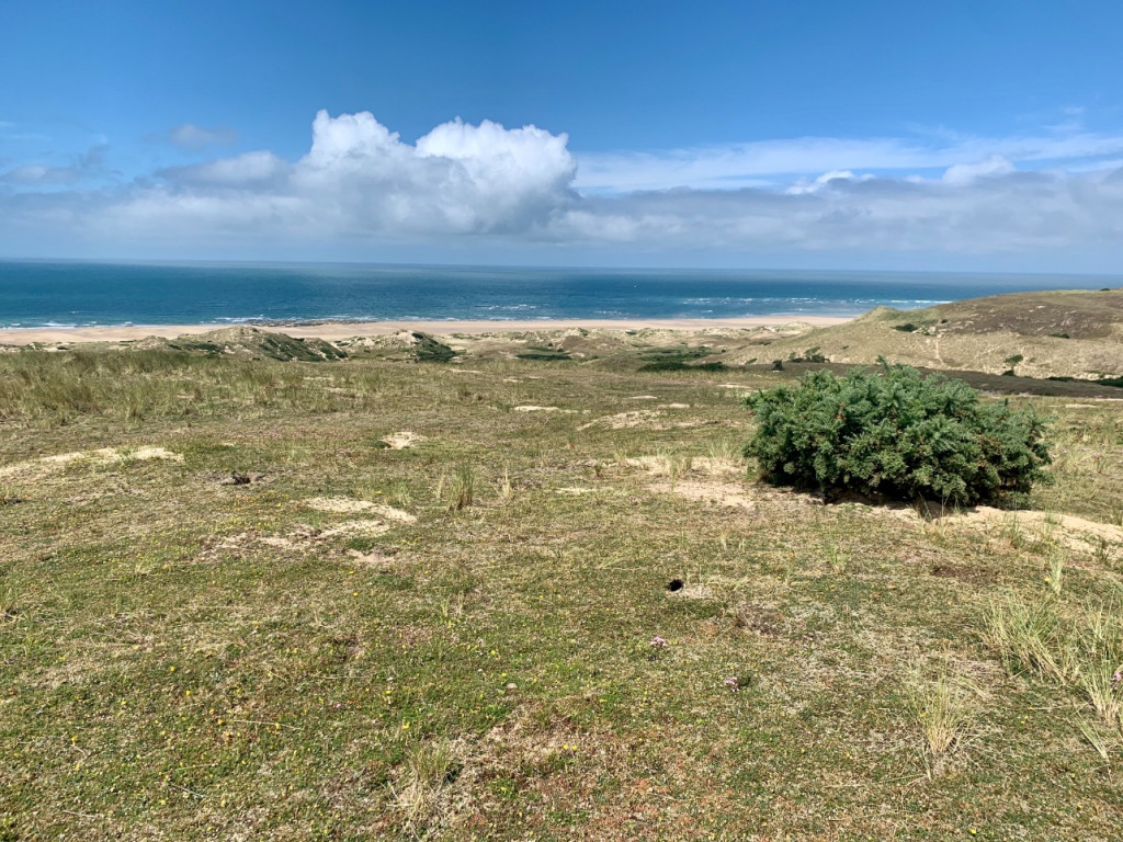 La dune de Hatainville