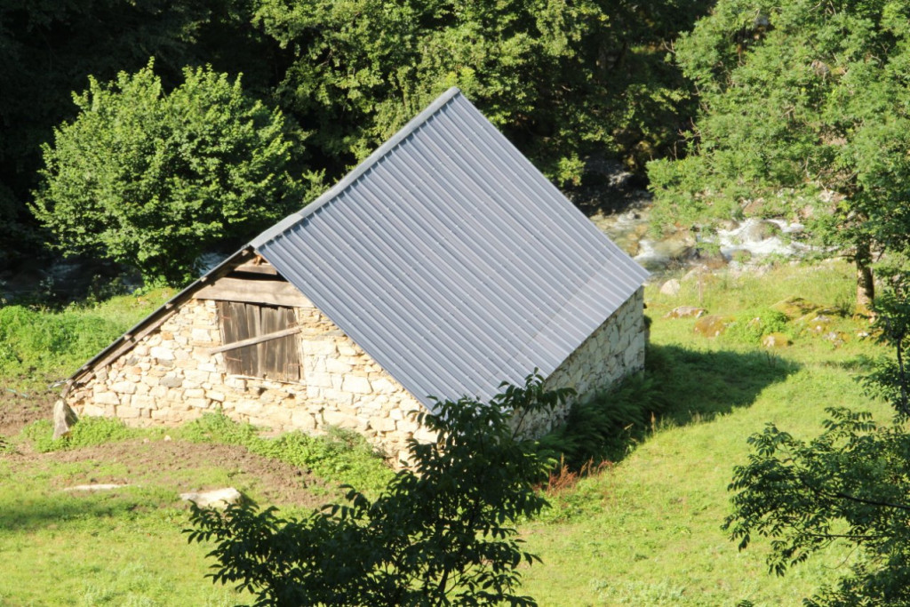 IMG_5543.JPG