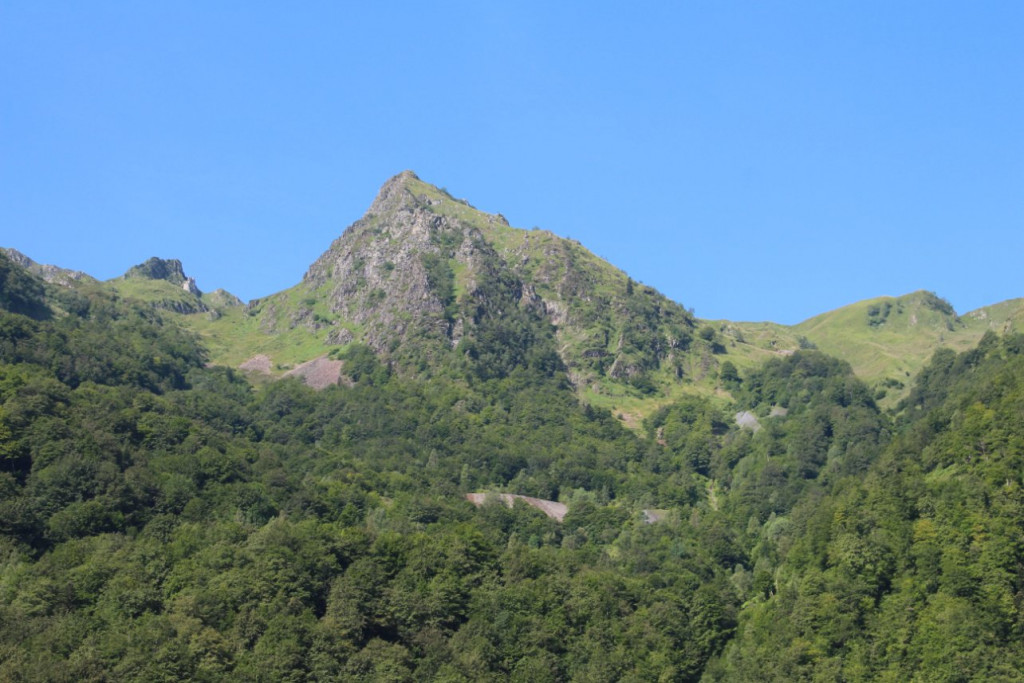 IMG_5548.JPG