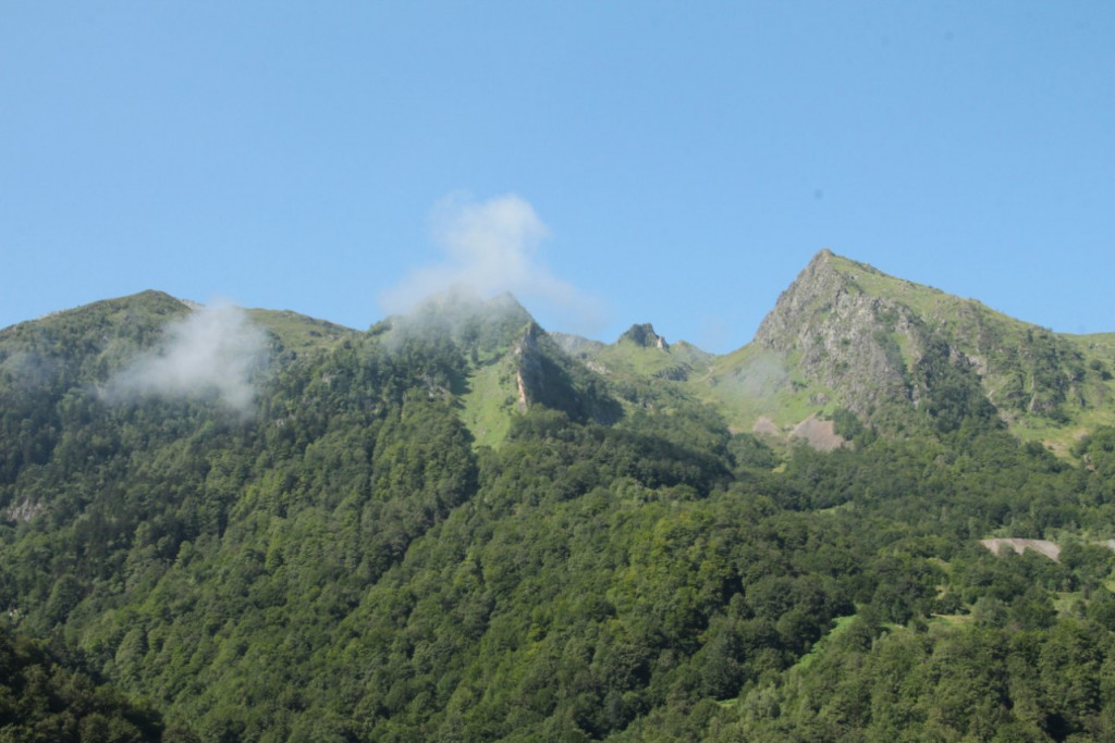 IMG_5554.JPG