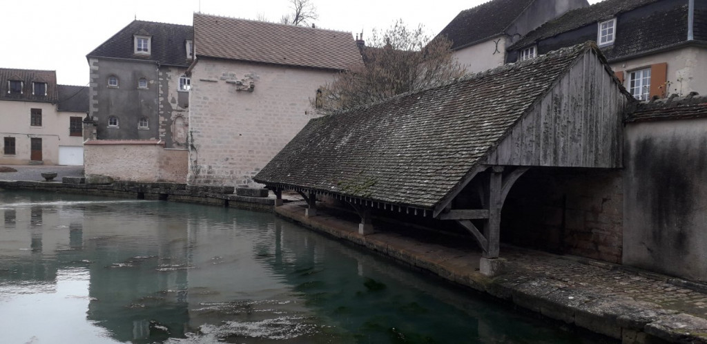 20210206_150018 (1).jpg