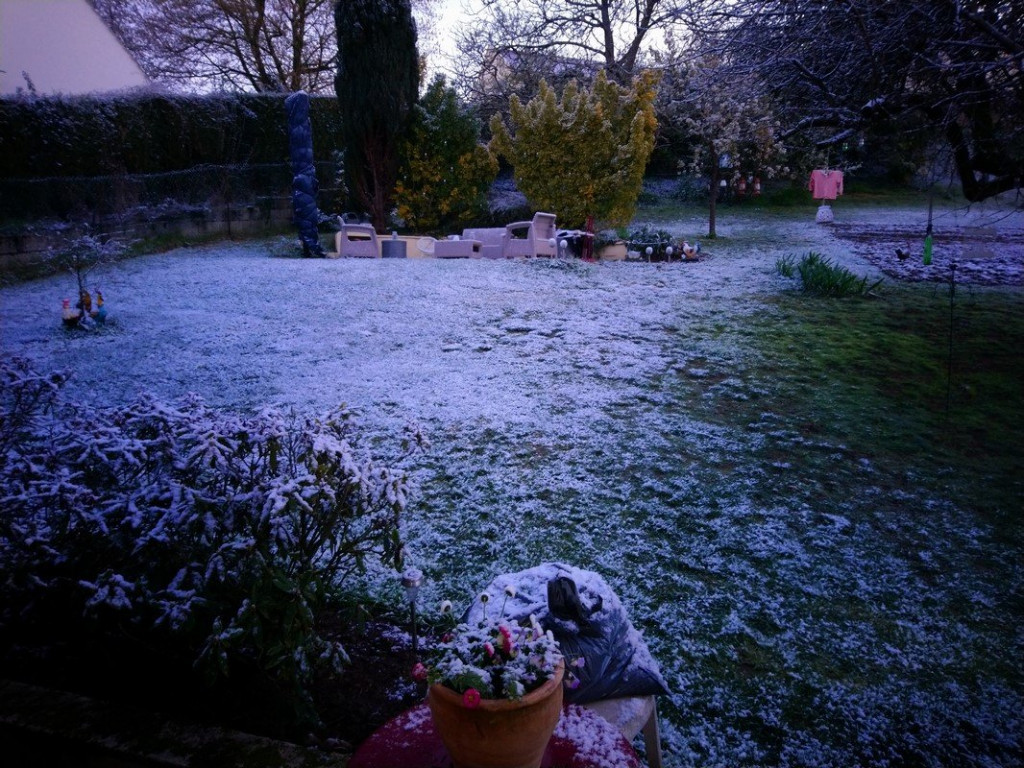 DSC_0735 (Copier).JPG