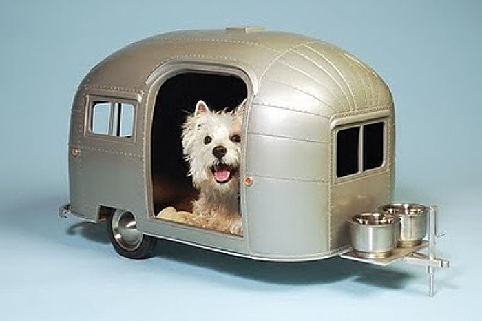 Caravane niche chien.jpg