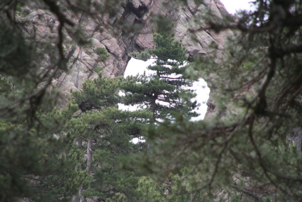 Vacances Corse 1084.jpg