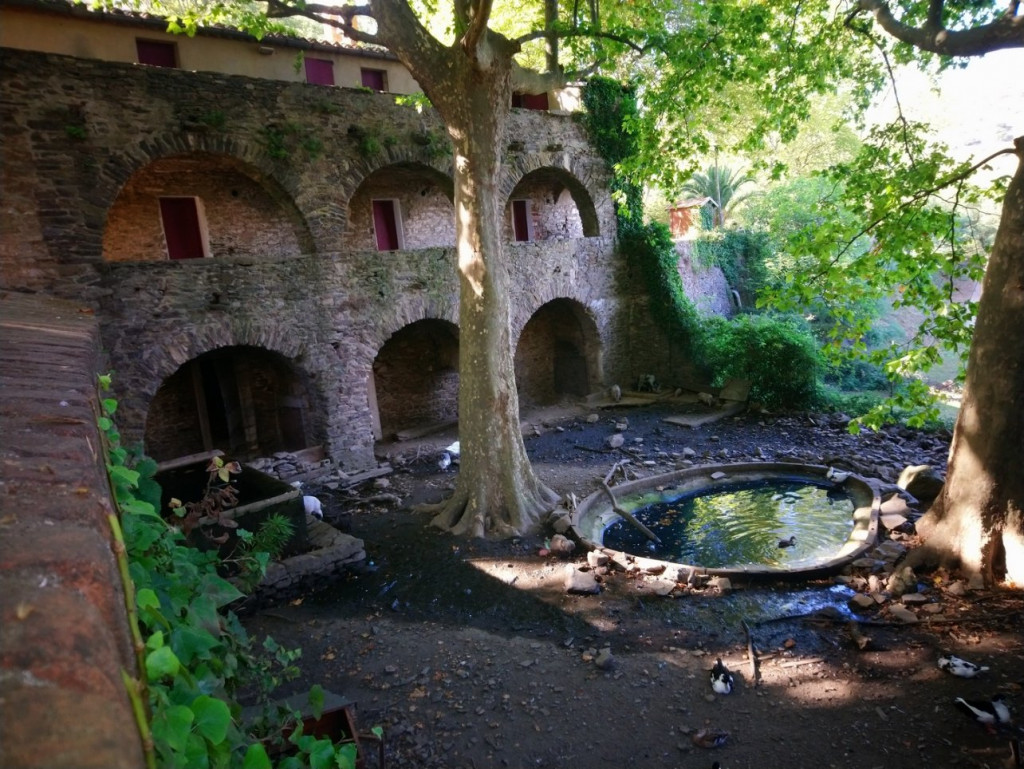 DSC_0023 (Copier).JPG