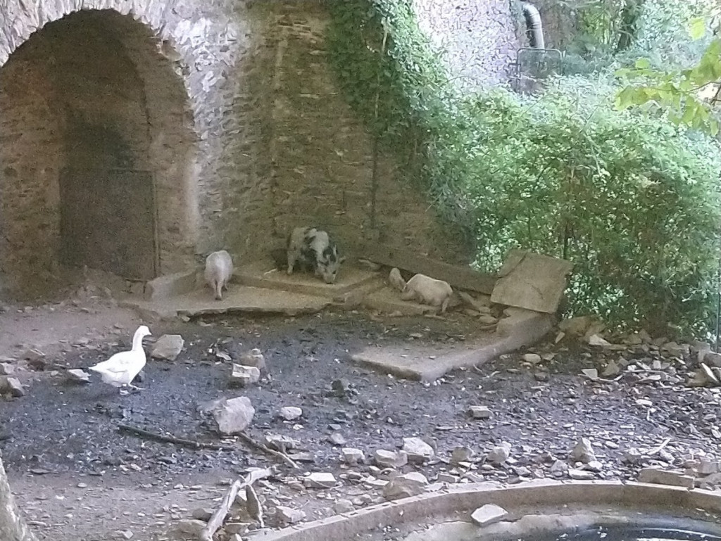 DSC_0024 (Copier).JPG