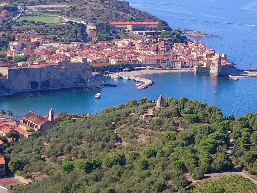 DSC_0047 (Copier).JPG