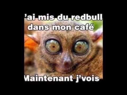 FB1F1B93-F274-487F-B332-4A737DC1ABA8.jpeg
