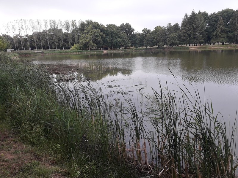 578 - Aubigny-sur-Nere.jpg