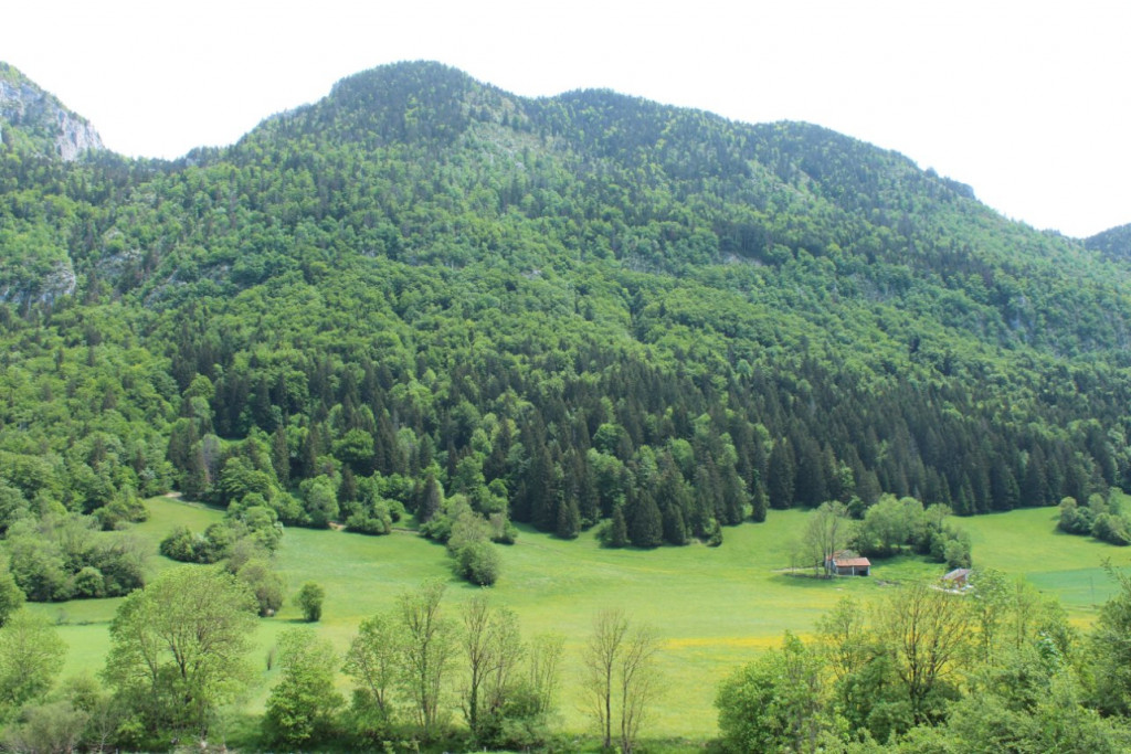 IMG_8164.JPG