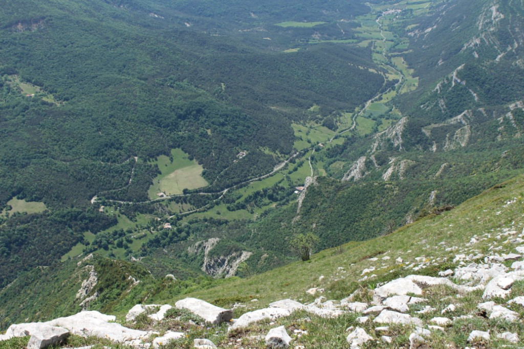 IMG_8403.JPG
