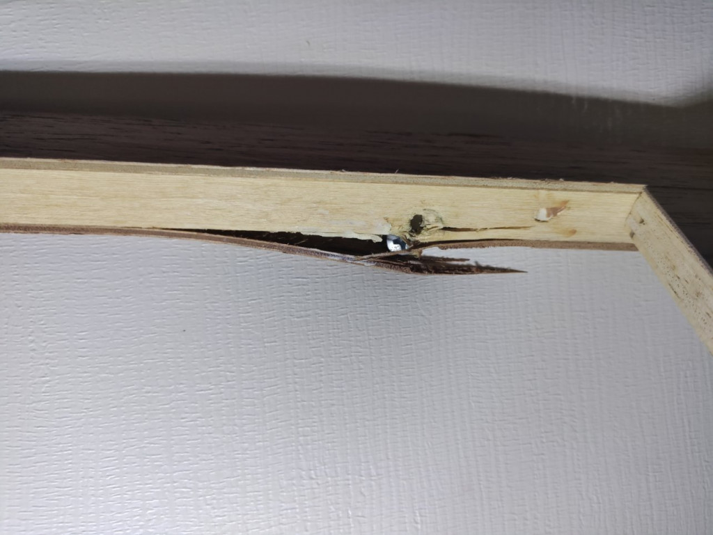 3 IMG_20220926_154746_Bokeh.jpg