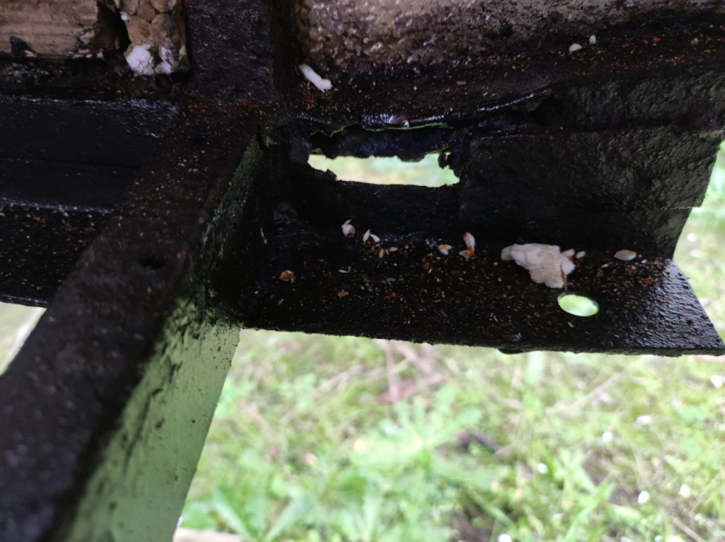 IMG_20221019_180302.jpg (215.47 Kio) Vu 13275 fois rouille