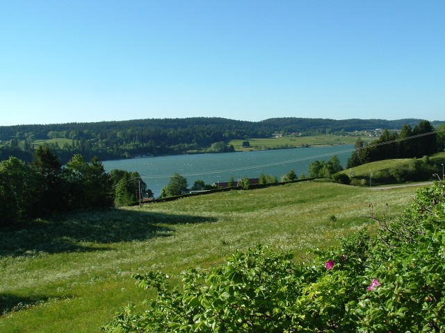 DSCF0079.jpg