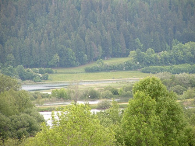 DSCF0158.jpg