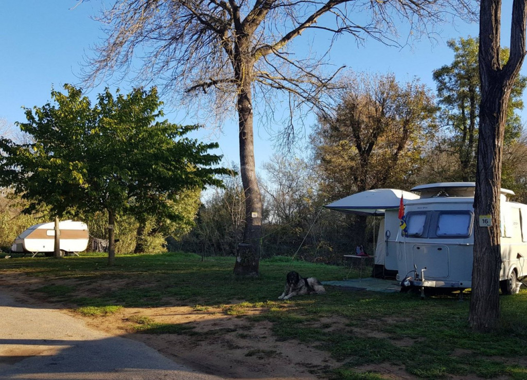 solette universelle.jpg