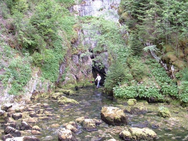 DSCF0125.jpg