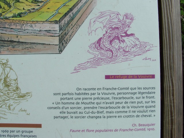 DSCF0140.jpg