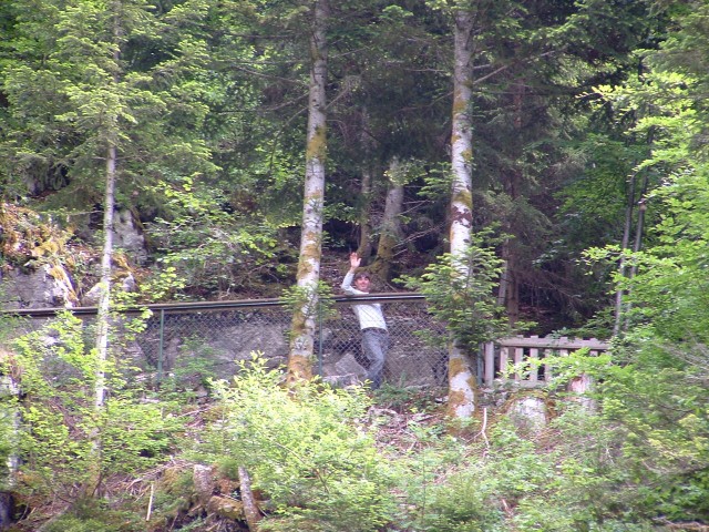 DSCF0144.jpg
