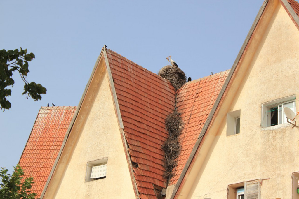 028 - Ifrane.JPG (203.67 Kio) Vu 9431 fois IFRANE
