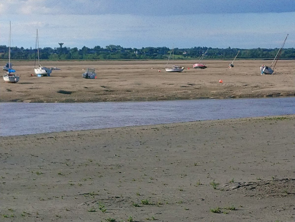 DSC_0373 (Copier).JPG