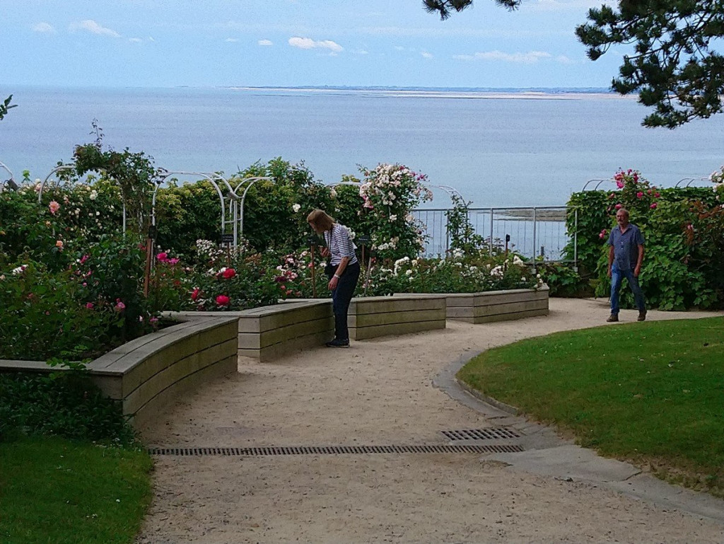 Au fond de la vue, les iles Chausey