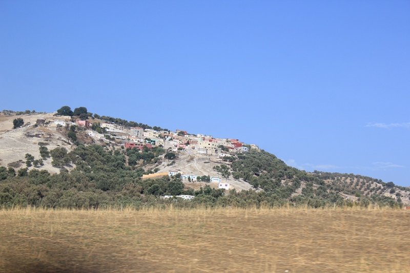 Sidi Chahed