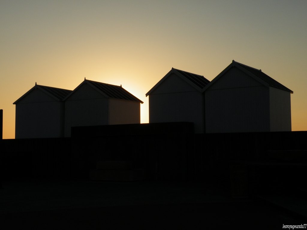DSCF7281.JPG