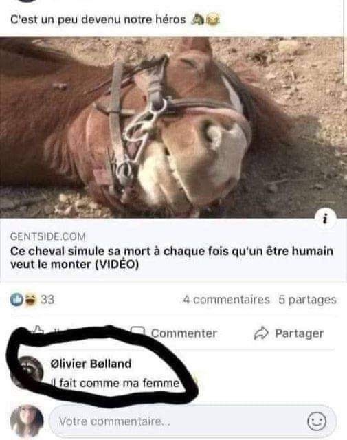 0D8E52E2-09D7-4F17-A977-3D07D037D9ED.jpeg